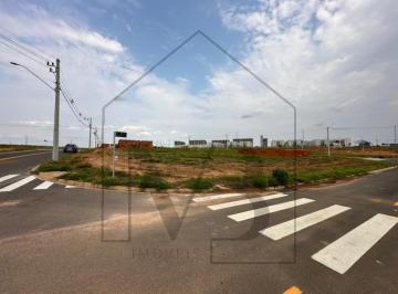 Foto 04 · Terreno - Olaria