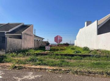 b5b53ed7bcd439a1a4f3706843d6f135243bd6f1 · Terreno à venda, 328 m² por R$ 250.000,00 - Jardim São Miguel - Maringá/PR