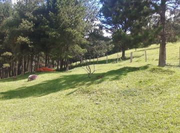 202407251157266688.jpeg · Chácara para Venda em Ibiúna, Carmo Messias