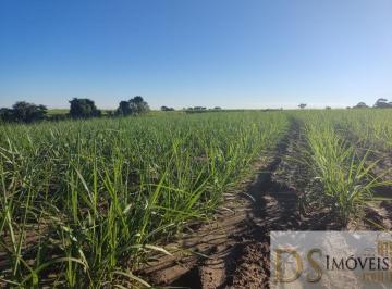 Foto 01 · FAZENDA COM CANA A VENDA NA REGIÃO DE SOROCABA-SP, COM 119 ALQUEIRES, TOPOGRAFIA SEMI PLANA E LEVEME