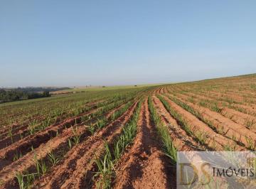 Foto 01 · FAZENDA EM CANA A VENDA NA REGIÃO DE LINS/SP, COM 117 ALQUEIRES, SENDO 80 ALQUEIRES EM CANA, ÓTIMA T