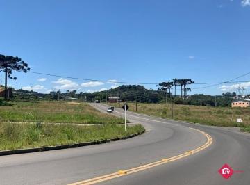 4541_i7vwQ2766YpG99r959_454166a291fc923c4.jpg · Terreno para Venda - 378.54m², 0 dormitórios, São Ciro