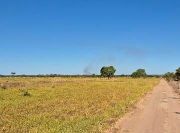 Rural , Peixe · Fazenda à venda - Peixe/TO - 329 hectares - Própria para Gado - Oportunidade!!