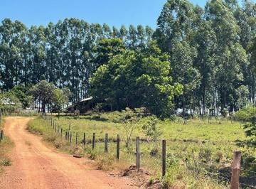 Rural de 12 quartos, Unaí · FAZENDA - UNAÍ - MINAS GERAIS| DUPLA APTIDÃO E PLANTAÇÃO EUCALIPTO C/ 1.578 HÁ 