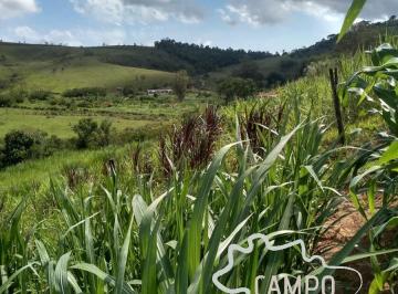 Foto 01 · SÍTIO 3,7 HECTARES FORMADO EM PARAIBUNA !