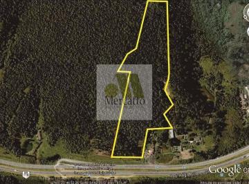 Terreno · 63202m² · Terreno em Itaquaciara  -  Itapecerica da Serra