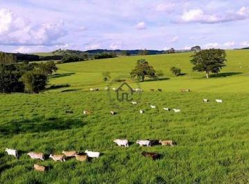 Rural · 571120m² · 4 Quartos · Fazenda à venda em Marília.
