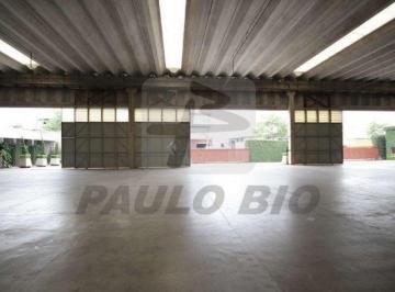 11723_i4hy3M87g7jsdo_1172366a2c8802c073.jpg · Comercial para aluguel - no Parque Novo Mundo