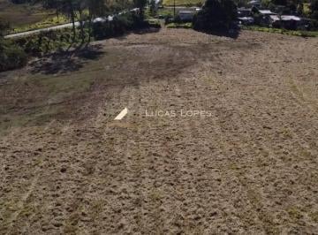 LHC_332_2024-07-26_10-45-51.jpg · Lote para venda Zona Rural Coronel Xavier Chaves