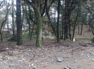 611016_ib6R5s64G6121k_61101666a4f1b927d4a.jpg · Terreno 500,35m² , localizado no bairro são luis , canela