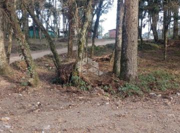 611079_ifiOUyI5gt4o12y183_61107966a4506ecdabd.jpg · Terreno 410,02m², localizado no bairro são luis , canela