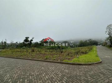 Terreno · 515m² · Lote em   Rua Jose Caberlon - Várzea Grande - Gramado/RS