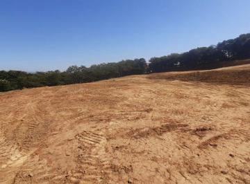 Terreno · 98000m² · Terreno à venda - na Zona Industrial