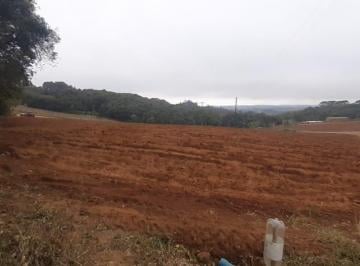 Terreno · 98000m² · Terreno à venda - em Piedade