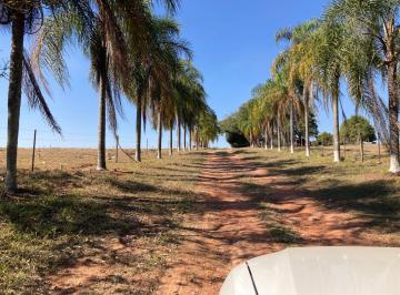 Rural , Alambari · Fazenda Sorocaba Região 87 Alqueires (Ocasião)