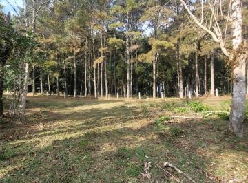 Foto 05 · Terreno, Rio Vermelho, Campo Alegre, SC