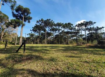 Foto 06 · Terreno, Rio Vermelho, Campo Alegre, SC