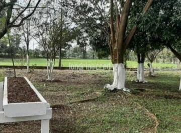 nvscwi2ytiwmjq1m2q1mjhj_md · Chácara à venda, rural, Lerroville, PR