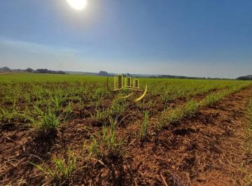 Foto 01 · Terreno à venda em Nova Odessa-SP, bairro Jardim das Palmeiras I, com 48.400m² de área! Aproveite es