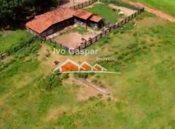 Foto 01 · Fazenda, Norte de Minas, São João da Ponte, MG