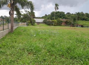 5772912090.jpg · TERRENO COM 2.000m² PARA LOCAÇÃO                                                                    