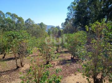 0 · Área de 8.0000m hectares em monte Sião Minas Gerais