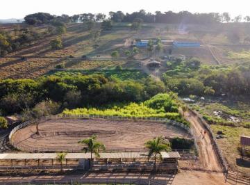 Foto 01 · Haras de 21 hectares, com excelente topografia e porteira fechada (incluindo animais) à venda em Pir