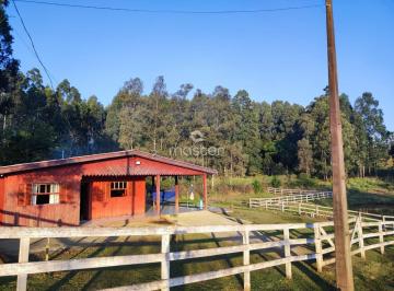g1_102524_213937_1745_240624.jpeg · CHACARA EM PULADOR - DISTRITO DE PASSO FUNDO