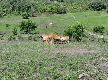 Foto 01 · Fazenda, Próximo a Ilhéus, Ilhéus, BA