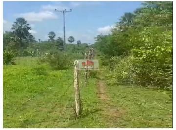 afe40a127975219da7ce27e04b6632ac.jpg · Fazenda com 800 hectares, dupla aptidão, plana, argila de 22% a 30%, boa logística
