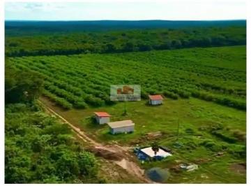 0d148057d2bb2a9b723fa68b74df448b.jpg · Fazenda com 295 hectares, com 5 mil pés de goiabeira da variedade paluma