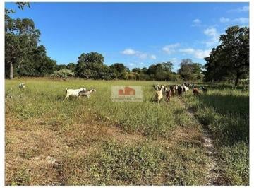 07ca3da5db393435fd21078af99b5f2a.jpg · Fazenda com 1740 hectares, dupla aptidão, 1150 hectares próprias para o cultivo de grãos