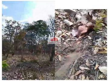 d7ef9f4a8be0bde0cd397c140c2f46dc.jpg · Fazenda com 3700 hectares, dupla aptidão, 80% de aproveitamento para lavoura