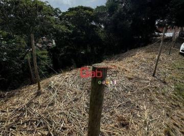 1685f2e01790099e63c3653f74a8f900e6adf32b · Terreno à venda, 1768 m² por R$ 550.000,00 - Altos de Búzios - Armação dos Búzios/RJ
