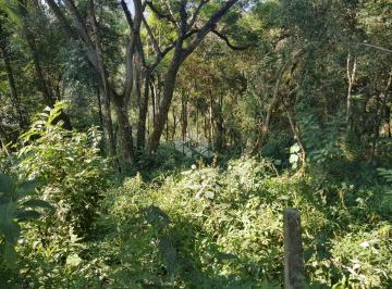 612896_ip5s4g_61289666aa8cbdac85d.jpg · Terreno com 2790 m² à venda por R$ 250.000,00 - Jardim Iporã - Mairiporã/SP