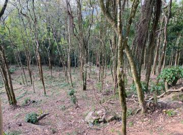613222_im18O_613222690a3ff26fc2a.jpg · Terreno com 1.250m² a venda por R$ 150.000,00 - Paraíso da Cantareira - Mairiporã/SP