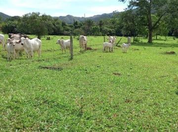 Foto 01 · DF4 VENDE SÍTIO 6 ALQUEIRES EM MIMOSO DE GOIÁS, PRÓXIMO A PADRE BERNARDO!