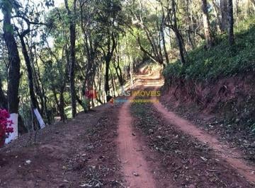 2ff9e99ae6aa5258e63d7866bf42d937ca377850 · Terreno à venda, 8092 m² por R$ 810.000,00 - Sertãozinho - Santo Antônio do Pinhal/SP