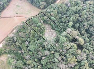 f940dba0280d5bd7760b02f2612c38f8c7073bae · Área à venda, 24200 m² por R$ 700.000,00 - Passauna - Campo Largo/PR