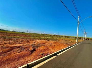 13e110ab5386d694773220cdbfdef40544a7ef11 · Terreno à venda, 176 m² por R$ 130.000,00 - Bela Vida - Saltinho/SP