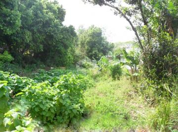 79284_539891984_08042019ImoMig.jpg · Terreno Residencial À Venda, Vila Nova, Porto Aleg
