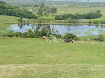 238440_i943Fa3L9_238440690cae62b7a65.jpg · Vende SÍTIO com 24,5ha em Estância Grande - Viamão - RS.