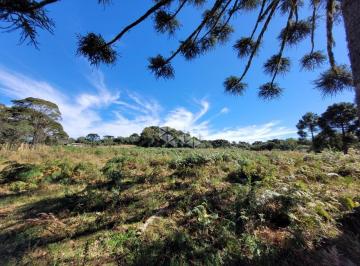 360545_ipf142l156452_360545646bb0dbb35f6.jpg · 50 ha de terras e matos em Capão Alto/ Cazuza Ferreira São Francisco de Paula