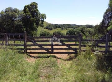 245745_i6D53deskqtS5_24574562fbfa2247ee1.jpg · ÁREA DE 300 HA NO DISTRITO DE JUÁ, SÃO FRANCISCO DE PAULA RS