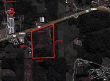 Foto. · Bela área com 10 hectares, de frente para RS122