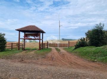520357_i5YuFx75M2dEp94SHB_5203576626788d5653e.jpg · 20 ha de terras com 13 ha de lavoura no Juá em São Francisco de Paula RS