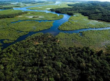 regiao_estuarina_1 · Área de Compensação e Preservação Bioma Mata Atlântica (CETESB)