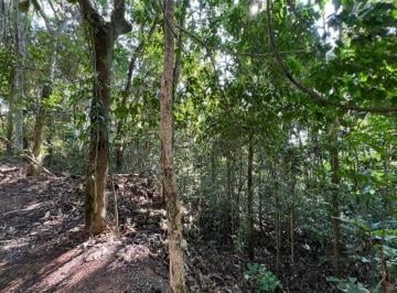Foto 01 · Terreno no centro de São Lourenço da Serra com área de 1.000,00 m²