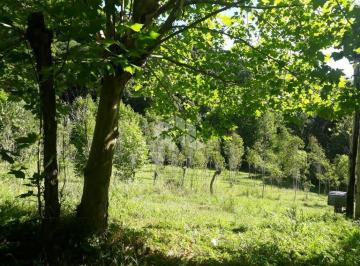 01 · Área de 3,9 hectares