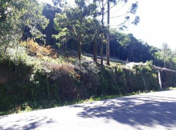 118688_i42Iw768iqz3_1186885dfa6ca59d01c.jpg · Amplo terreno na rua Alencar Arararipe